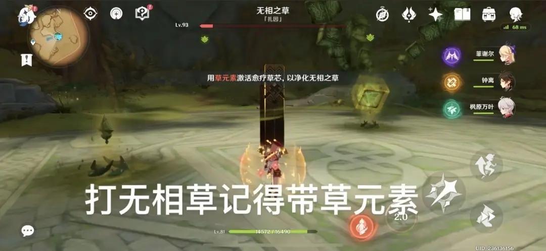 须弥无相之草硬核攻略🌿草雷火三元素速通